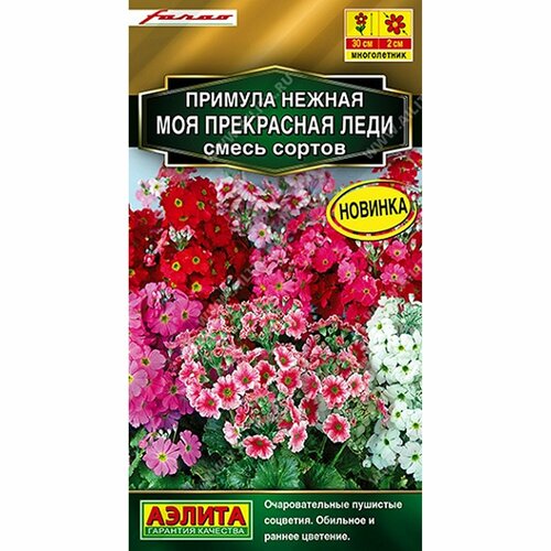 ���������� ������ ������� ��� ���������� ����, ����� ������, �����������, (������) 7�� ������� ����� ���. Farao