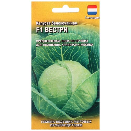 ���������� ������ ������ Seminis ������� ������������ ������ F1 10 ��.