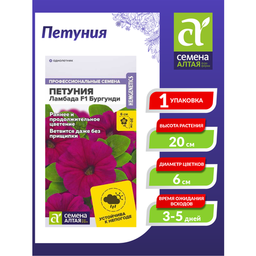 ���������� ������ ������� ������� F1 �������� ���������� 10 ��./��.