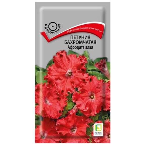 ���������� ������� ����������� �������� ����