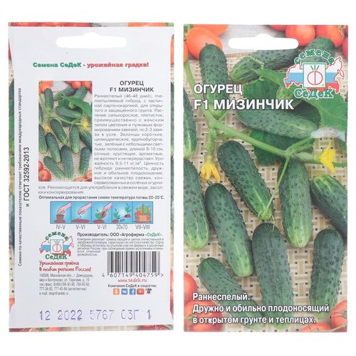 ���������� ������ ������, �������� F1, 0.3 �, ������� ��������, �����