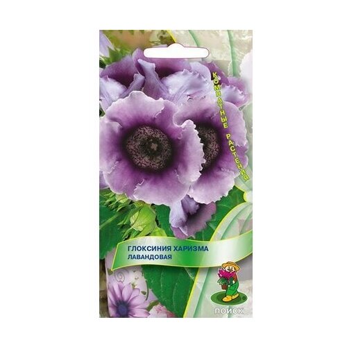 ���������� ������ ��������� ����� ������� ���������� 5 ��