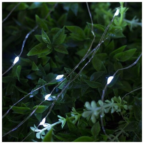 ���������� �������� ���� 20 � ����, IP44 ����������� ����, 200 LED, �������� �����, 2 ������, ��������� �������