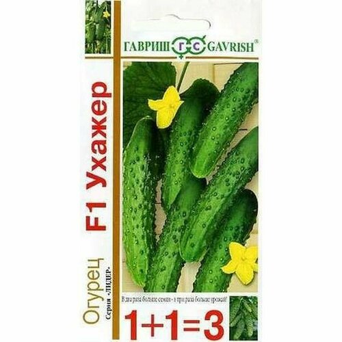 ���������� ������ ������ ������ F1, ������������, (������) 20�� ���1+1