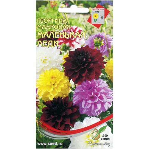 ���������� �������� �������� ��������� ����, 10 �����