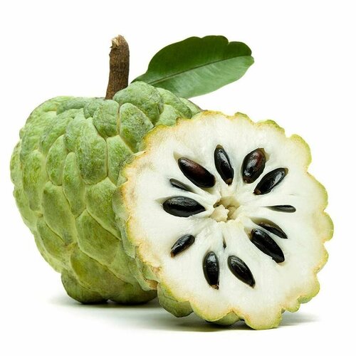 ���������� �������� �������� ������ ������ (Annona squamosa) ������ 5 ����