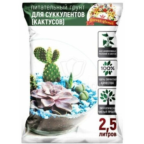 ���������� ����� ��� �������� � ����������� 2,5� ������ ������.