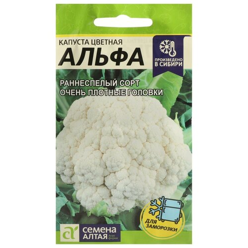 ���������� ������ ������� ������� 