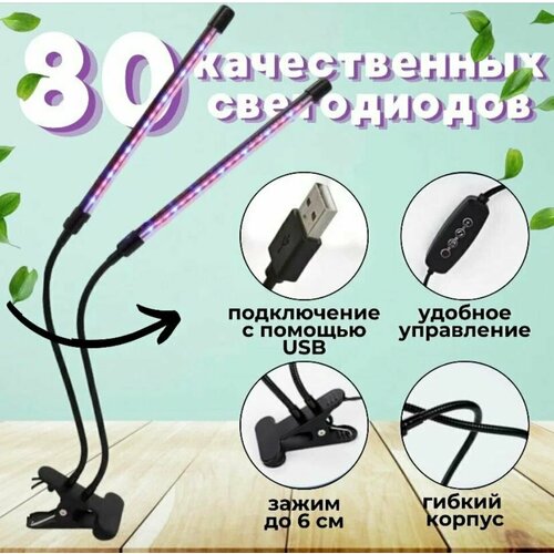 ���������� ��������� ������� HOUSE_MALL, ��� �������, ������ ������, 50 x 50 ��