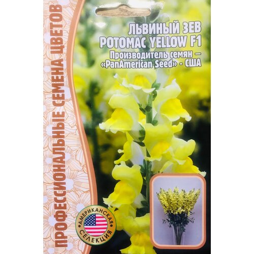    () (Antirrhinum majus Potomac) Potomac Yellow F1 (5 )   , -, 