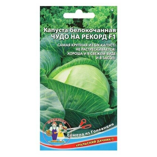 ���������� ������ ������� 