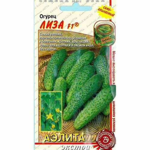 ���������� ������ ������ ���� F1 (������������������) (������) 10��