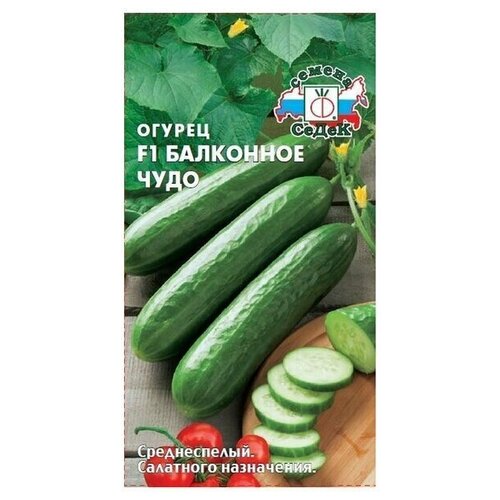 ���������� ������ ������� ��������� ���� F1 0,2 �