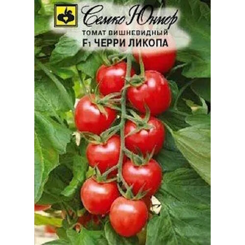 ���������� ������ ����� ����� ������ F1 ����� 5�� ����� ������ (�����)