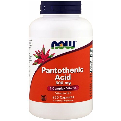 ���������� Pantothenic Acid ����., 500 ��, 400 ��, 240 �, 250 ��., 1 ��.