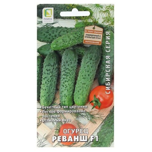 ���������� ������ ������ ������ F1 12�� ������������������ ������ (�����)