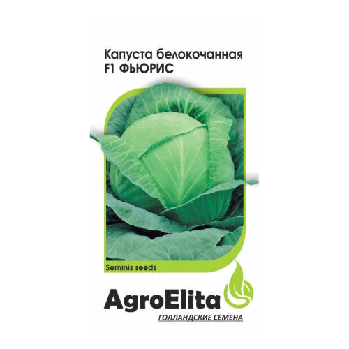 ���������� ������ ������� ������������ ������ F1 10�� ������� (���������) ��������� �������