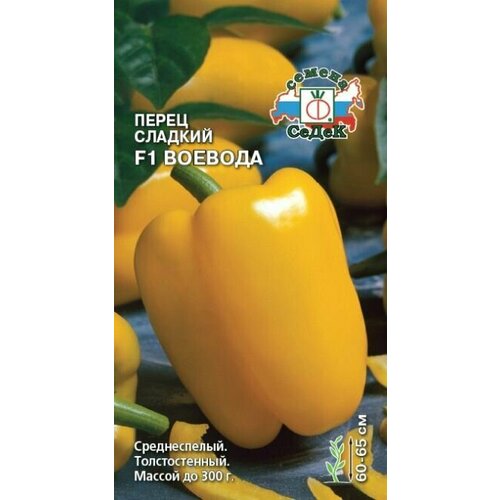 ���������� ����� ������� F1 �������, 1 �����, ������ 0,2�, �����