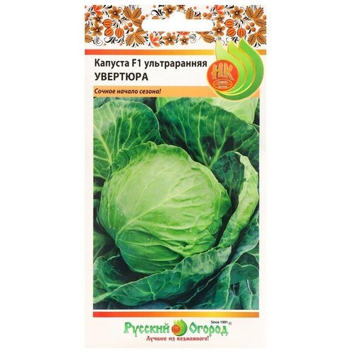 ���������� ������ ������� ������������ 