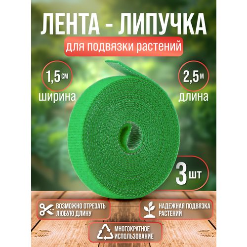 ���������� �����-������� ������� ��� �������� �������� | 3 ������ �� 2,5 ����� | ������ ����� 1,5 ��.