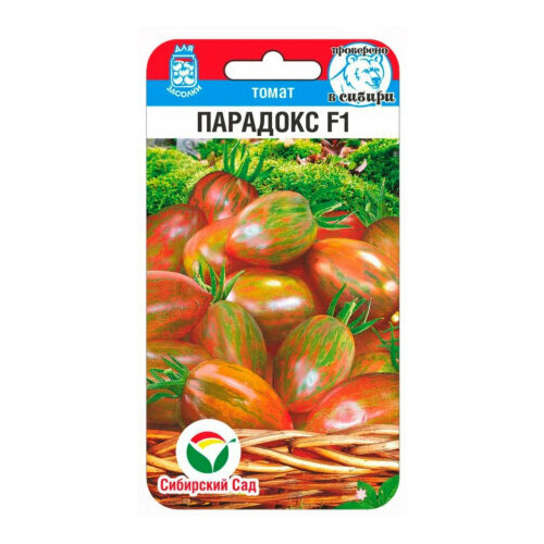 ���������� ������ ����� �������� F1 15�� ����� ������ (��������� ���)