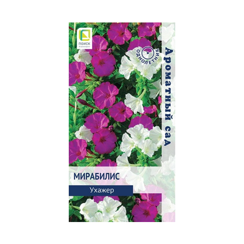 ���������� ������ ��������� ������ 1� ��� 80�� (�����) ��������� ���