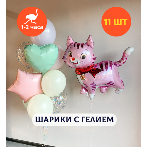 ���������� ������ ��������� �� ���� ��������, ��������� ���� � ������, ���� � ���� ��������, ����� ����� ��� ������� 