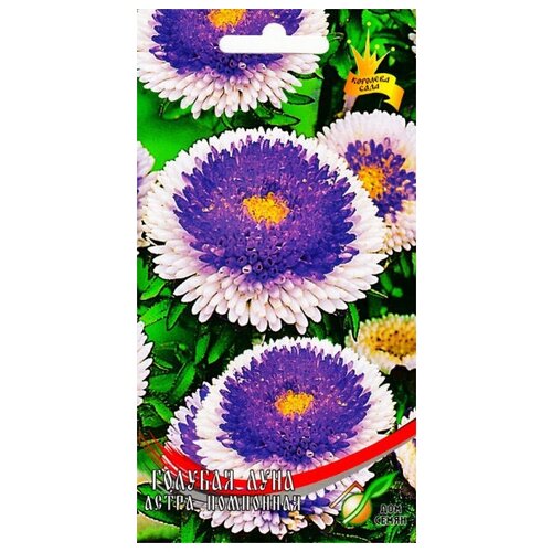 ���������� ����� ��������� ������� ����, 100 �����