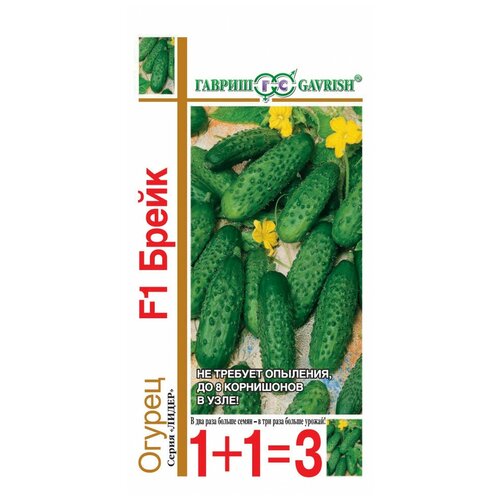 ���������� ������ ����� F1, ����������� �������� ( 1 ��: 20 ����� )