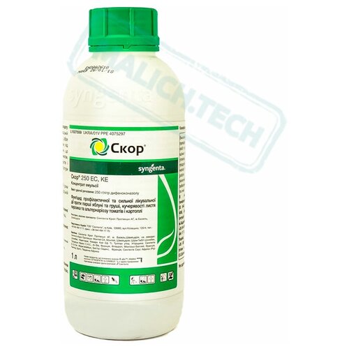 ���������� ����, �� �������� (1 �)