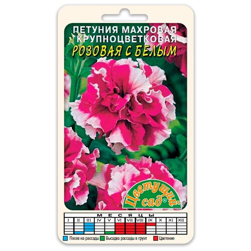 ���������� ����� ������� �������� ������ ������� � ����� (������ �������� ��� 10 ��. � ������)