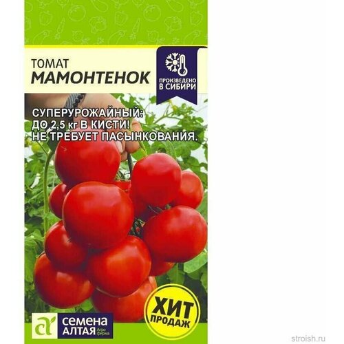 ���������� ����� ���������� 5�� ������ �����