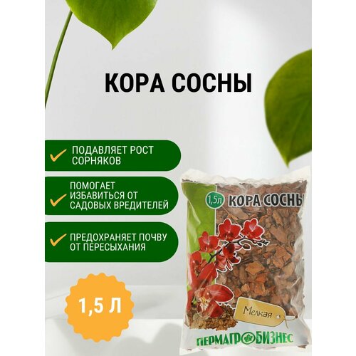 ���������� ���� ����� ������� 1,5 �