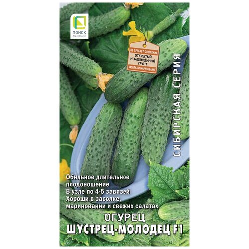 ���������� ������ ����� ��������� ����� ������ �������-������� F1 12 ��