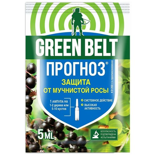 ���������� Green Belt �������� ��� ������ �� ��������� ���� �������, 5 ��, 12 �