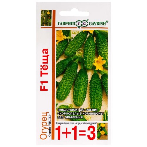 ���������� ������ ������ 