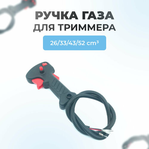 ���������� ����� ���� ��� ��������