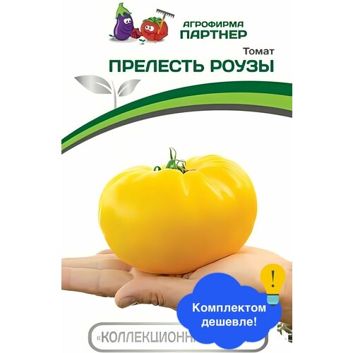 ���������� ������ ������ ��������� ������� 