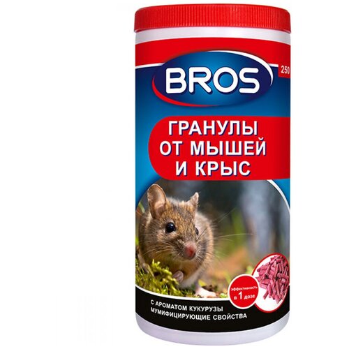 ���������� BROS ������� �� ����� � ���� Bros, 250 ��