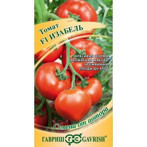 ���������� ������ ����� ������� F1 5�� ��� ������ (������) ����� �24