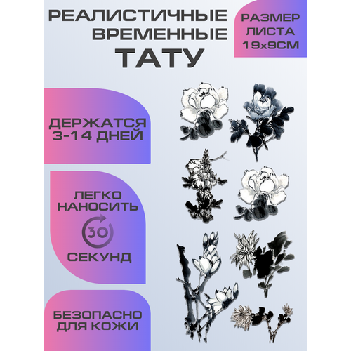 ���������� ���� ���������� ��������������, ��������� ����