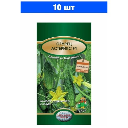 ���������� ������ ������ �������� F1 10 ��.