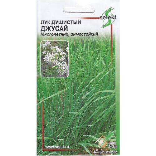 ���������� ��� �������� ������, 40 �����