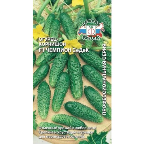 ���������� ������ ������ ������� F1 �������� 0,2� ������������������ (�����)