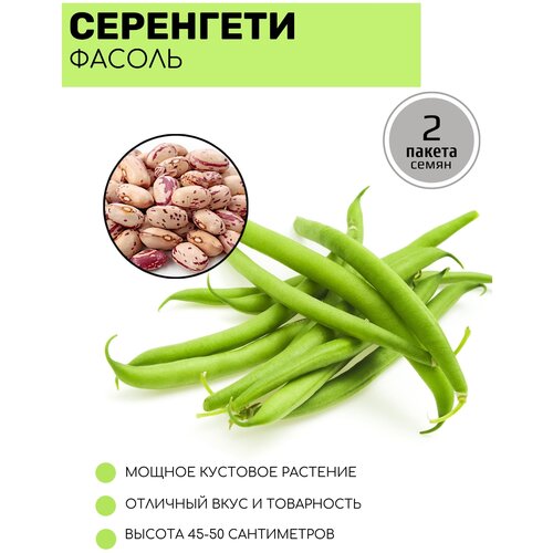 ���������� ������ �������� ��������� ��������� F1 2 ������ �� 5� �����