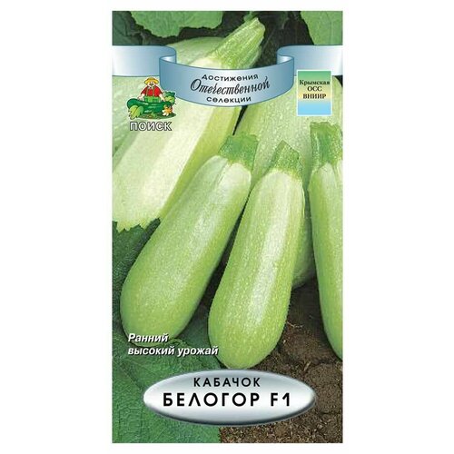 ���������� ������ ������� ������� 12 �� �� �����