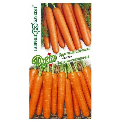 ���������� ������ ������ ���� ������� �������-���������+������� ���������-�������� 4 �