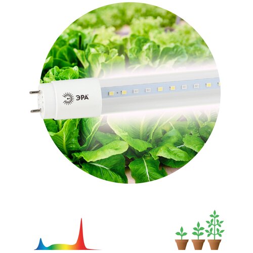 ���������� ��������� ��� �������� ������������ ��� FITO-18W-Ra90-�8-G13-NL ������� ������� 18 �� �8 G13
