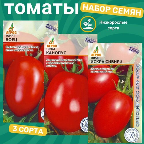 ���������� ����� ����� ����������� ������� / ���� , �������, ����� ������