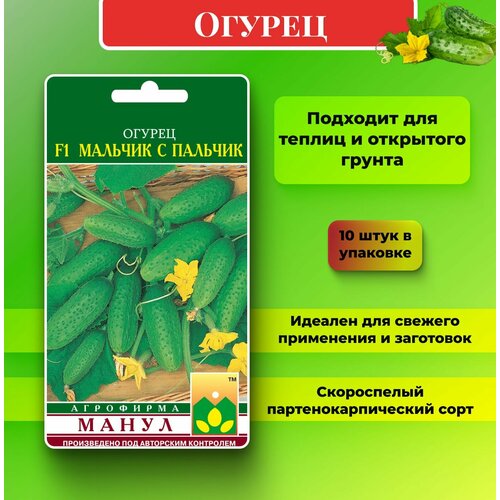 ���������� ������ ������ 